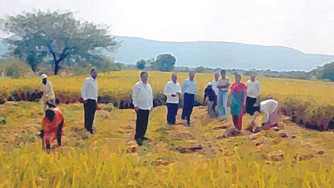 Crop Harvesting