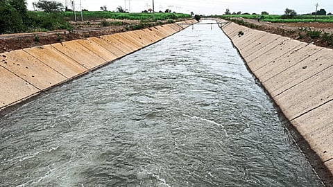 Rabi Irrigation
