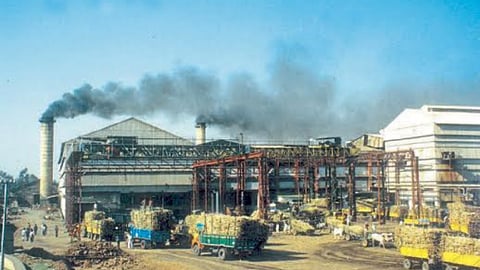 Sugarcane Crushing kolhapur
