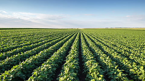 Sustainable Agriculture
