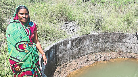 Navjeevan Project