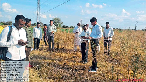 Tur Crop Damage