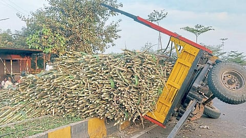 Sugarcane Transport