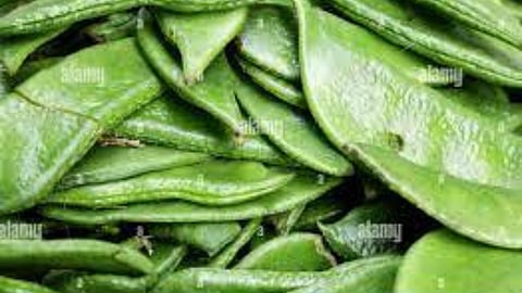 Beans Rate : ऐन हंगामात वालपापडीने खाल्ला भाव