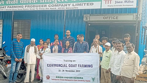 Goat Farming