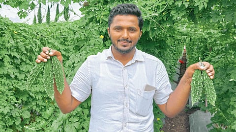 Vegetable Market