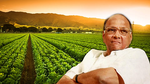 Sharad Pawar
