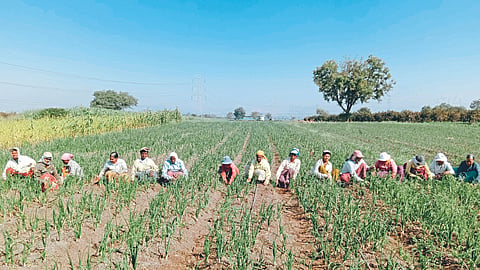 Women Empowerment