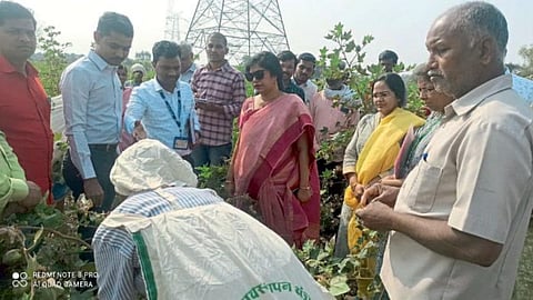 SMART Cotton