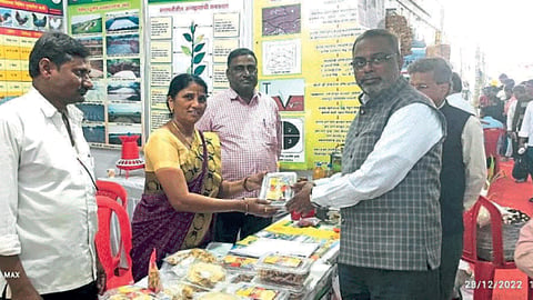 Agriculture Festival