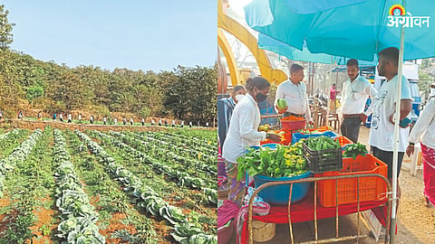 Group Farming