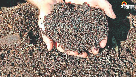 Compost