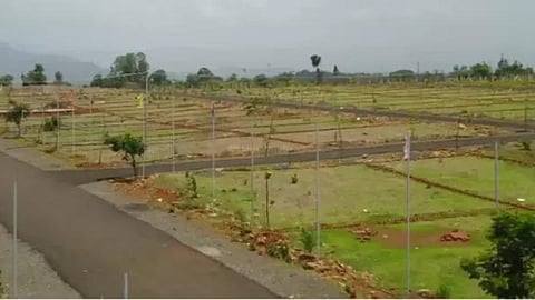 Agriculture Land