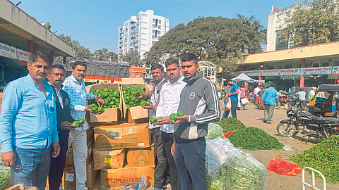 Chakan Vegetable Market News