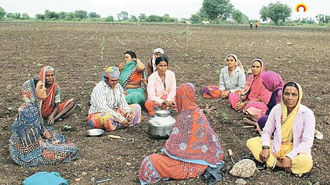 Agriculture Ecosystem