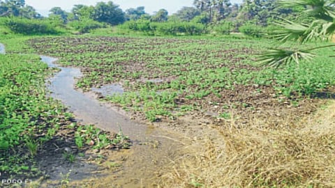 Canal Issue