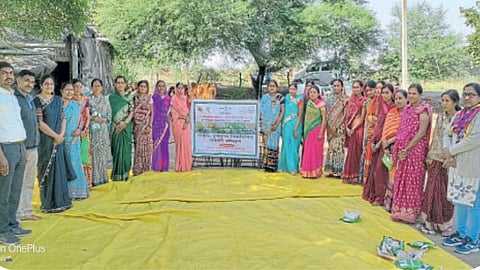 Rural News