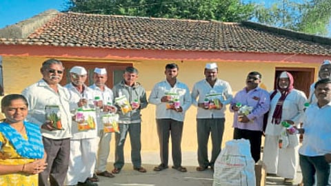Nashik Seed News