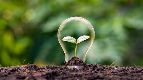 Sustainable Agriculture