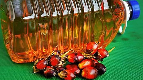 Palm Oil Import