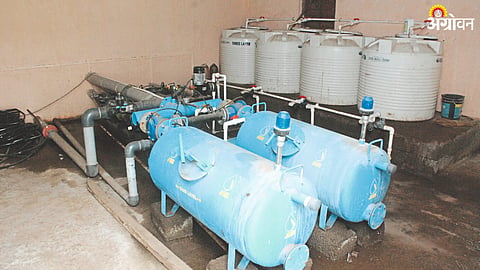 fertilizers