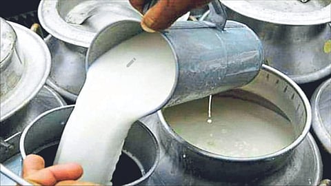 Milk