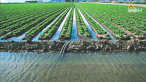 Agricultural Irrigation