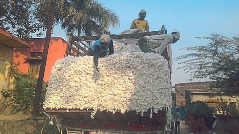 Cotton Rate
