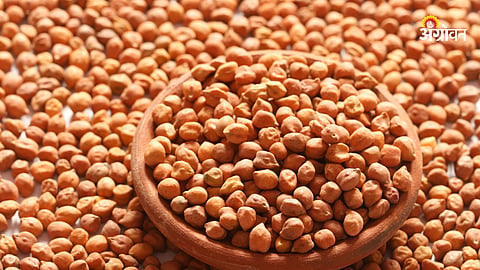 Harbhara Market