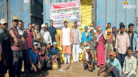 Urea Fertilizer