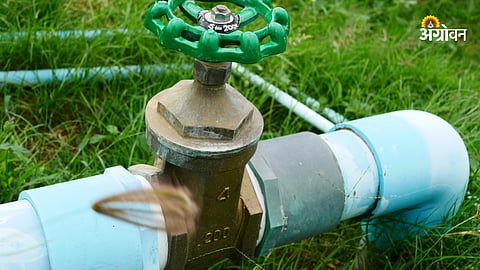Irrigation Department