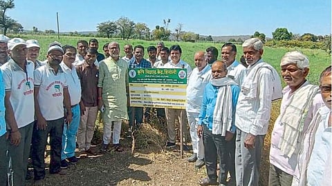 Chana Farming