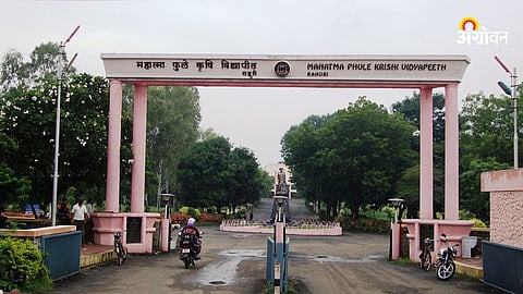 Cotton Cultivation