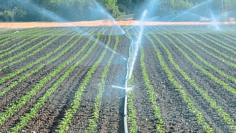 Micro Irrigation