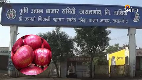 Onion Producer