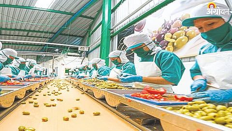 Food Processing Scheme