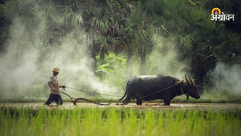 Farmer