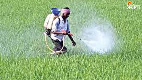 Chemical Pesticides