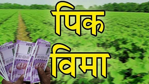 Crop Insurance