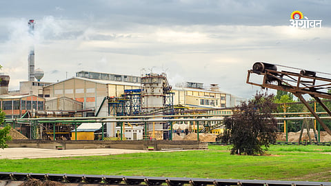 Sugar Production