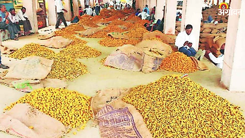 Turmeric Market