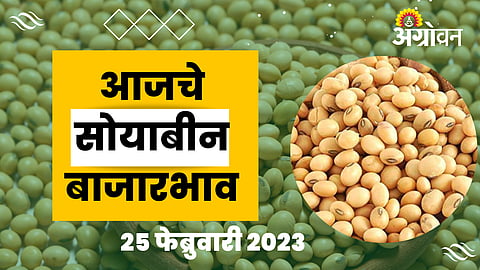 Soybean rate