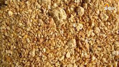 Soyameal Export