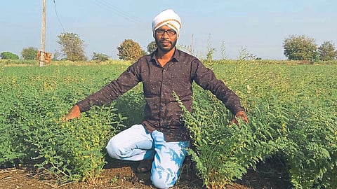 Farm Mechanization