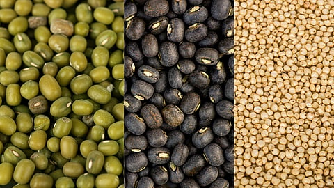 Mung, Urad, Jowar Productivity