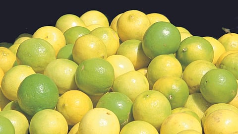 Lemon Rate
