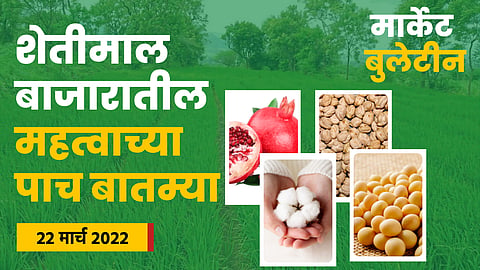 Soybean Rate