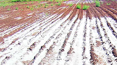Land Survey
