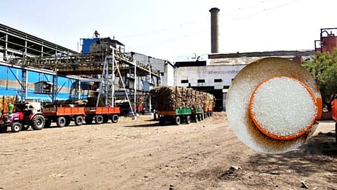 Sugar Export