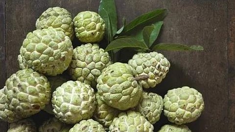 Sitaphal Rate